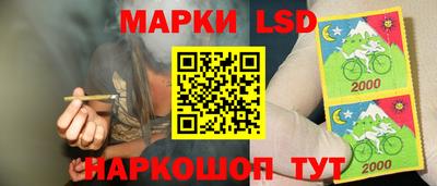 дмт Будённовск